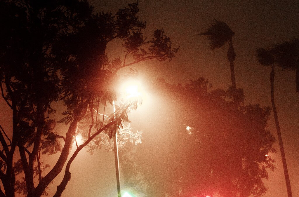 Holiday Haboob